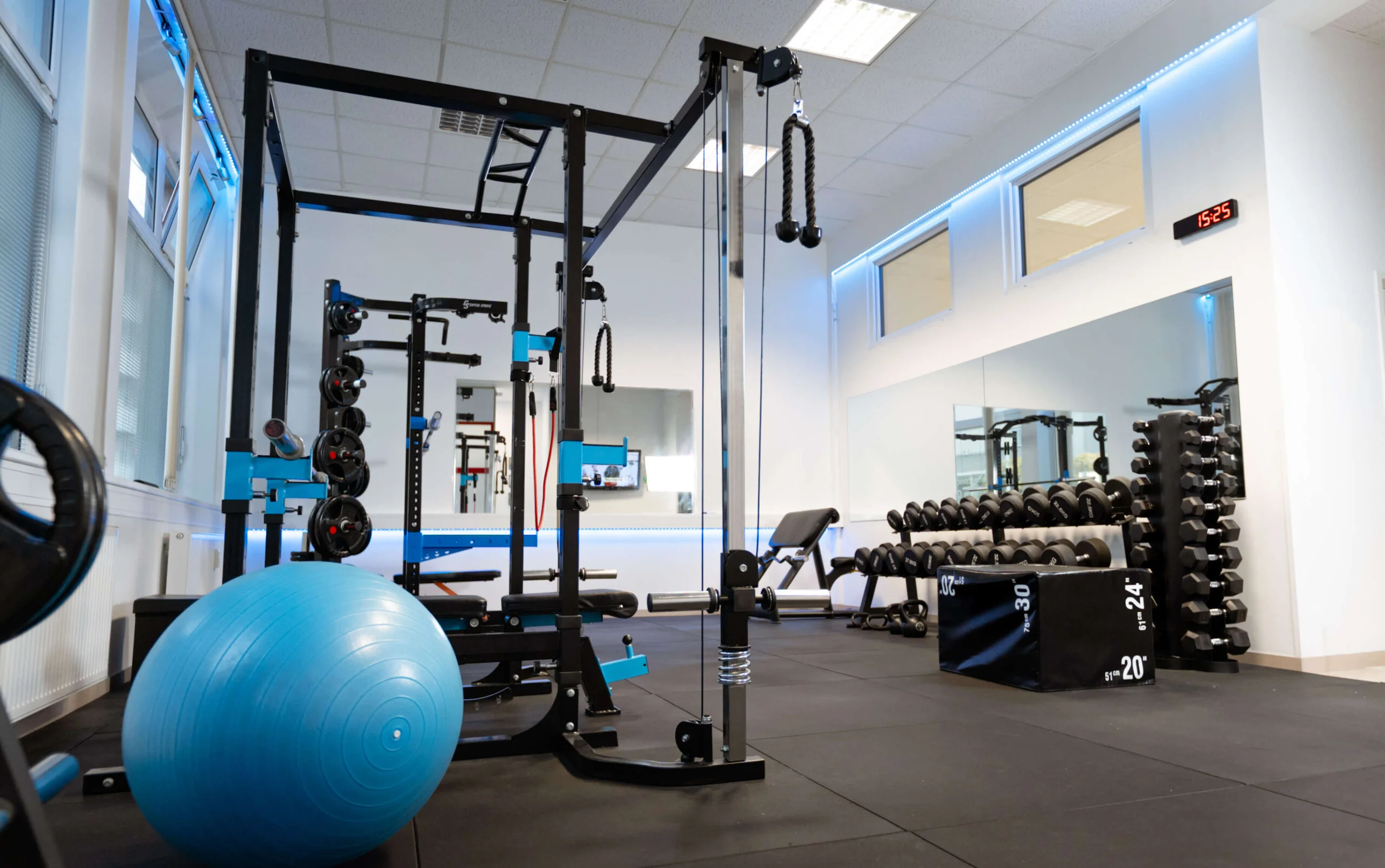 smartbody-gym